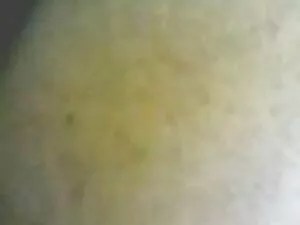 Eve angel y cuarento ...