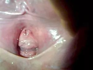 Payton ayuda a Leia  ...