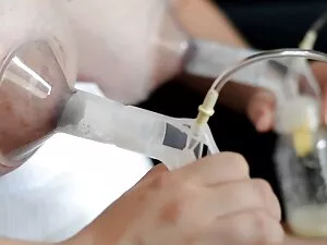 El travieso piper pe ...